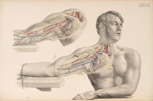 Surgical Anatomy. London: John Churchill, 1851. MACLISE, JOSEPH. 1815-1880.