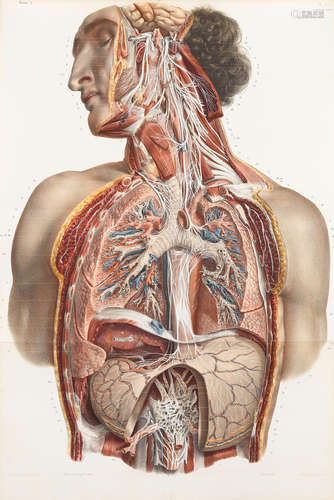 Traité complet de l'anatomie de l'homme, comprenant la médicine opératoire. Paris: C.-A. Delaunay, 1831-54.   BOURGERY, JEAN BAPTISTE MARC. 1797-1849.