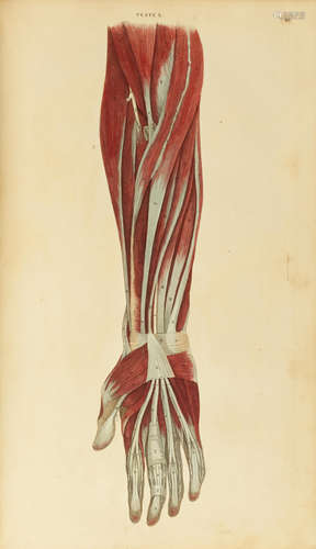 A System of Anatomical Plates of the Human Body. Edinburgh: W.H. Lizars, 1822-26.  LIZARS, JOHN. 1792-1860.