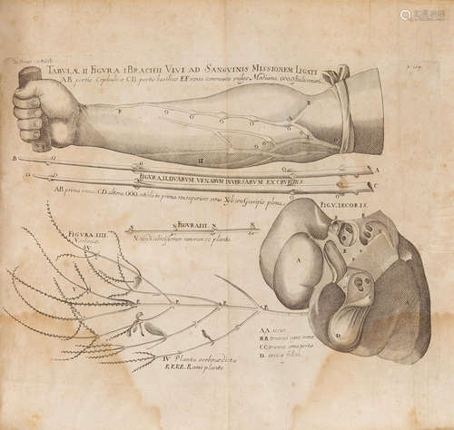 Opera omnia anatomica & physiologica. Leipzig: Gleditsch 1687.   FABRIZIO, GIROLAMO. 1533-1619.