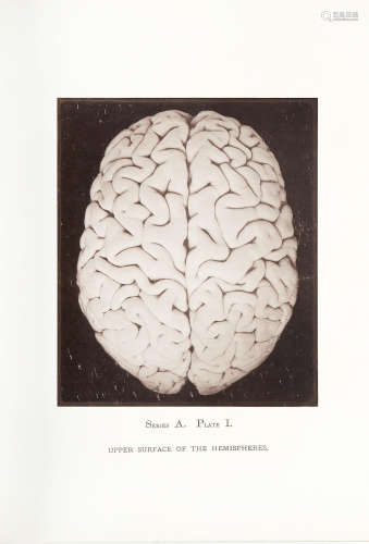 Topographical Anatomy of the Brain. Philadelphia: Lea Brothers & Co., 1885. DALTON, JOHN CALL. 1825-1889.