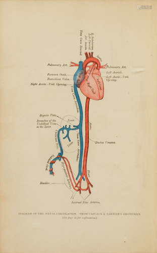Diseases of the Heart and Circulation in Infancy and Adolescence.  Philadelphia: P. Blakiston Son, & Co., 1888.  KEATING, JOHN. 1852-1893; and WILLIAM EDWARDS. 1860-1933
