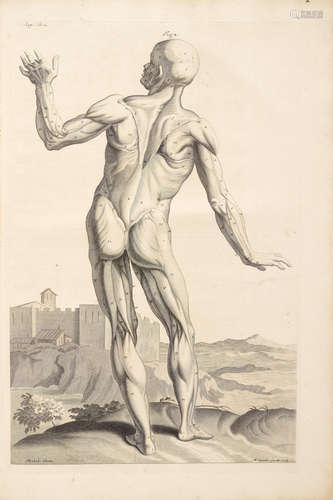 The Anatomy of Humane Bodies, with Figures drawn after the Life ... illustrated with large explications, containing many new anatomical discoveries, and chirurgical observations, to which is added an introduction explaining the animal oeconomy ... revised and publish'd by C. B. Albinus. Leiden: J. A. Langerak, 1737. COWPER, WILLIAM. 1666-1709.