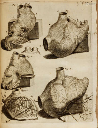 Epistola problematica, prima[-decima & sexta]. Amsterdam: J. Wolters, 1696-1714. RUYSCH, FREDERIK. 1638-1731