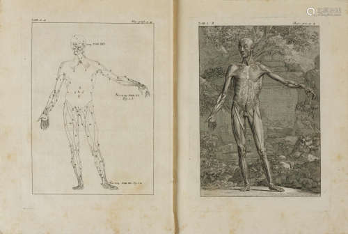 Myo-Graphie ou Description des Muscles du Corps Humain. Paris: Briasson, 1753. TARIN, PIERRE. C.1735-1761.