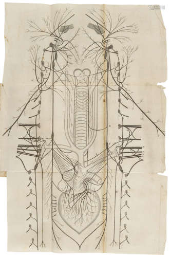 Cerebri anatome: cui accessit nervorum descriptio et usus. London: Thomas Roycroft, for J. Martyn & Ja. Allestry, 1664. WILLIS, THOMAS. 1621-1675.