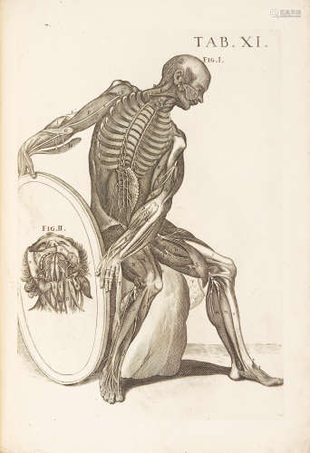 Tabulae anatomicae.  Rome: Antonio de Rossi for Fausto Amidei, 1741. BERRETTINI, PIETRO (PIETRO DA CORTONA). 1596-1669.