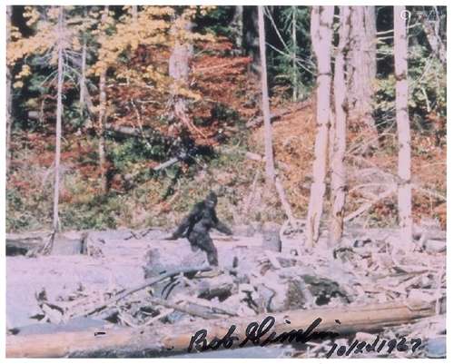 Bigfoot: Bob Gimlin