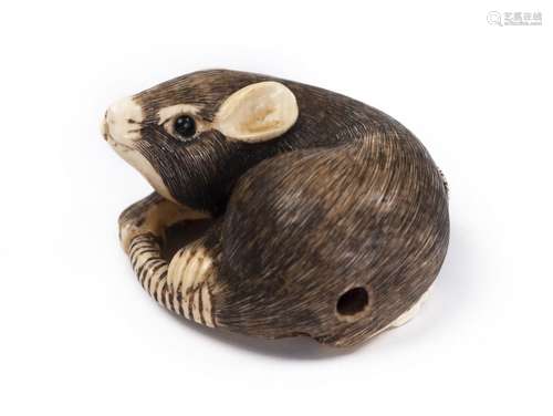 Netsuke de rat en ivoire, aux yeux noirs. Porte sous son ventre une incrustation en [...]