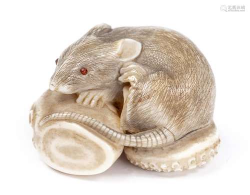 Netsuke de rat aux yeux rouges sur un tentacule, en ivoire. Japon. H. 2x3.5x3 cm. [...]