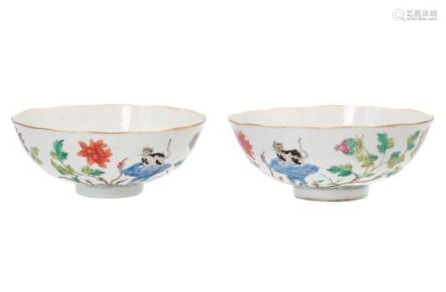 A pair of polychrome porcelain bowls, decorated with a butterfly, cat, fruits and flowers. Marked