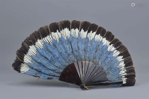 A Jay Bird feather and tortoise shell fan