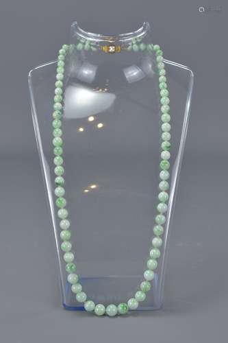 A string of Jadeite beads with 9ct gold clasp and