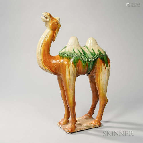 Sancai-glazed Camel, China, Tang dynasty, standing on a flat rectangular bisque base, mouth open and head turned upwards, saddled, with