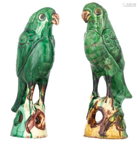 Two Chinese Qianlong type sancai glazed parrots, ,...;