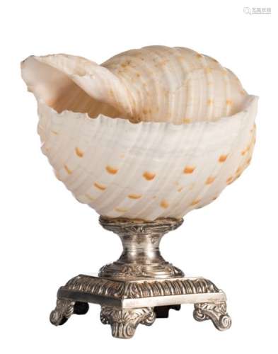 A silver mounted turbo shell in the 17thC manner, …