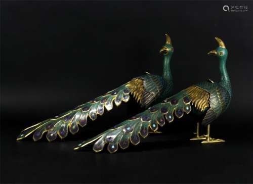 PAIR OF CHINESE CLOISONNE PEACOCKS
