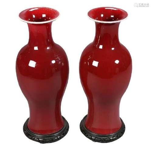 Pair of Chinese vases in 