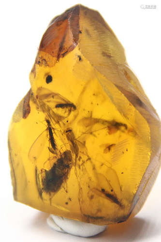 A DOMINICAN INSECT AMBER