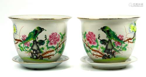 Pair of Chinese enameled porcelain planters, decorated with a pair of peacocks amid peonies,