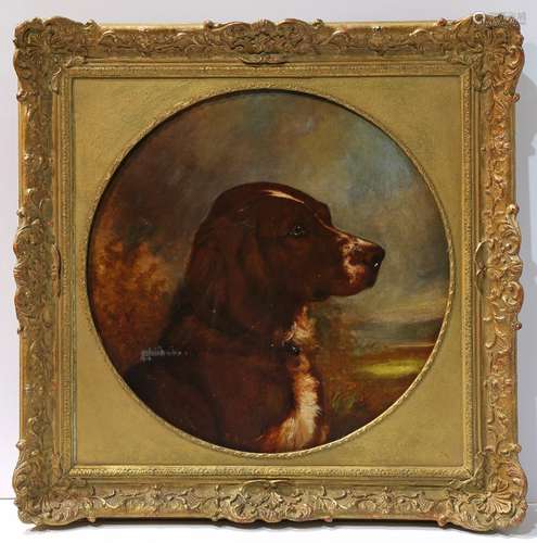 American School (19th century), Portrait of a Spaniel, oil on canvas, signed 