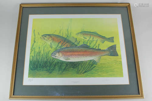 After David Carl Forbes (20th century), the Rainbow Trout, limited edition coloured print 22/350,