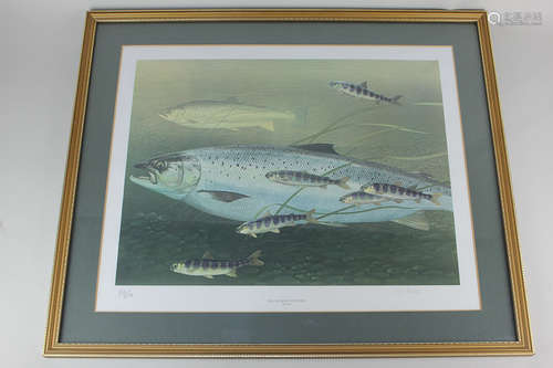 After David Carl Forbes (20th century), Hen Salmon with Parr, limited edition coloured print 22/350,