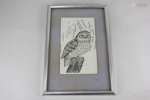 David Carl Forbes (20th century), study of an owl perched on a tree stump, with plant names