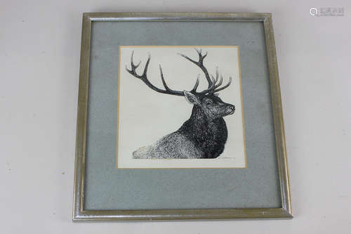 David Carl Forbes (20th century), stag's head, ink study, 14.5cm by 13.5cm provenance by descent