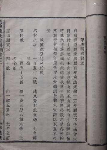 剡东陈氏宗谱 民国八年（1919）三孝义堂木活字印本 二册 白纸 线装