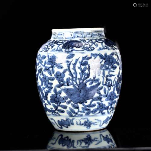 A Chinese Blue and White Porcelain Jar, Ming Dynasty