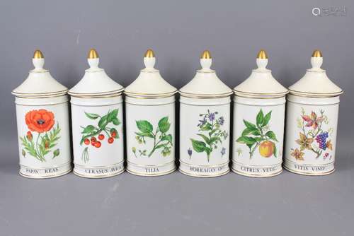 Six Limoges 'Warin' Apothecary Lidded Jars