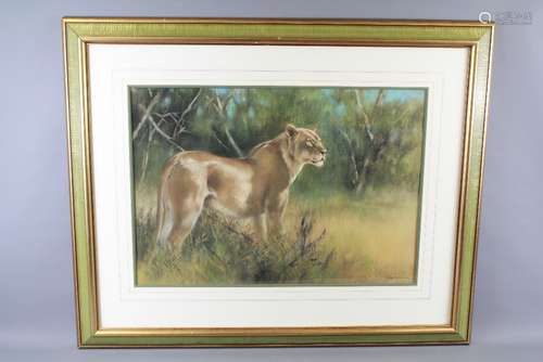 Joel Kirk British (1948- ) Pastel on Paper depicting a Lioness, approx 67 x 48 cms