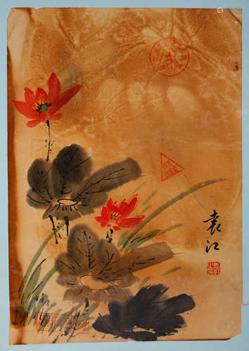 YuanJiang 'Lotus'