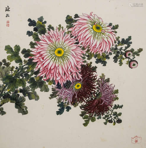 缪冰如  菊花册页