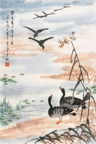 吴青霞（1910～2008）  芦雁图 立轴 设色纸本