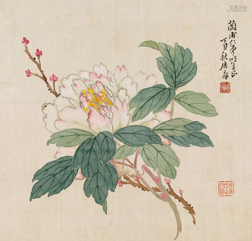 居廉（1828～1904）  牡丹 镜片 设色绢本