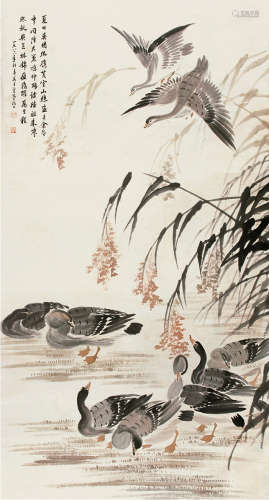 吴青霞（1910～2008） 卢雁 立轴 纸本