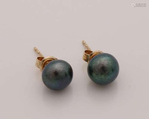 Yellow gold earrings, 585/000, with black freshwater