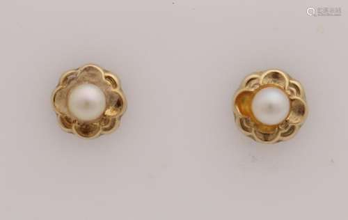 Yellow gold earrings, 585/000, with pearl. Earbuds with