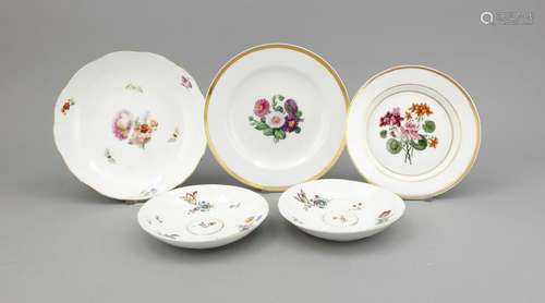 Five various German porcelain hand-painted plates.