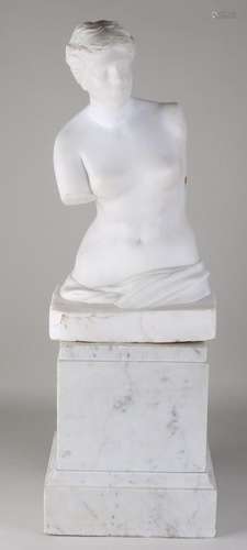 White marble ladies bust. Greek woman. On marble