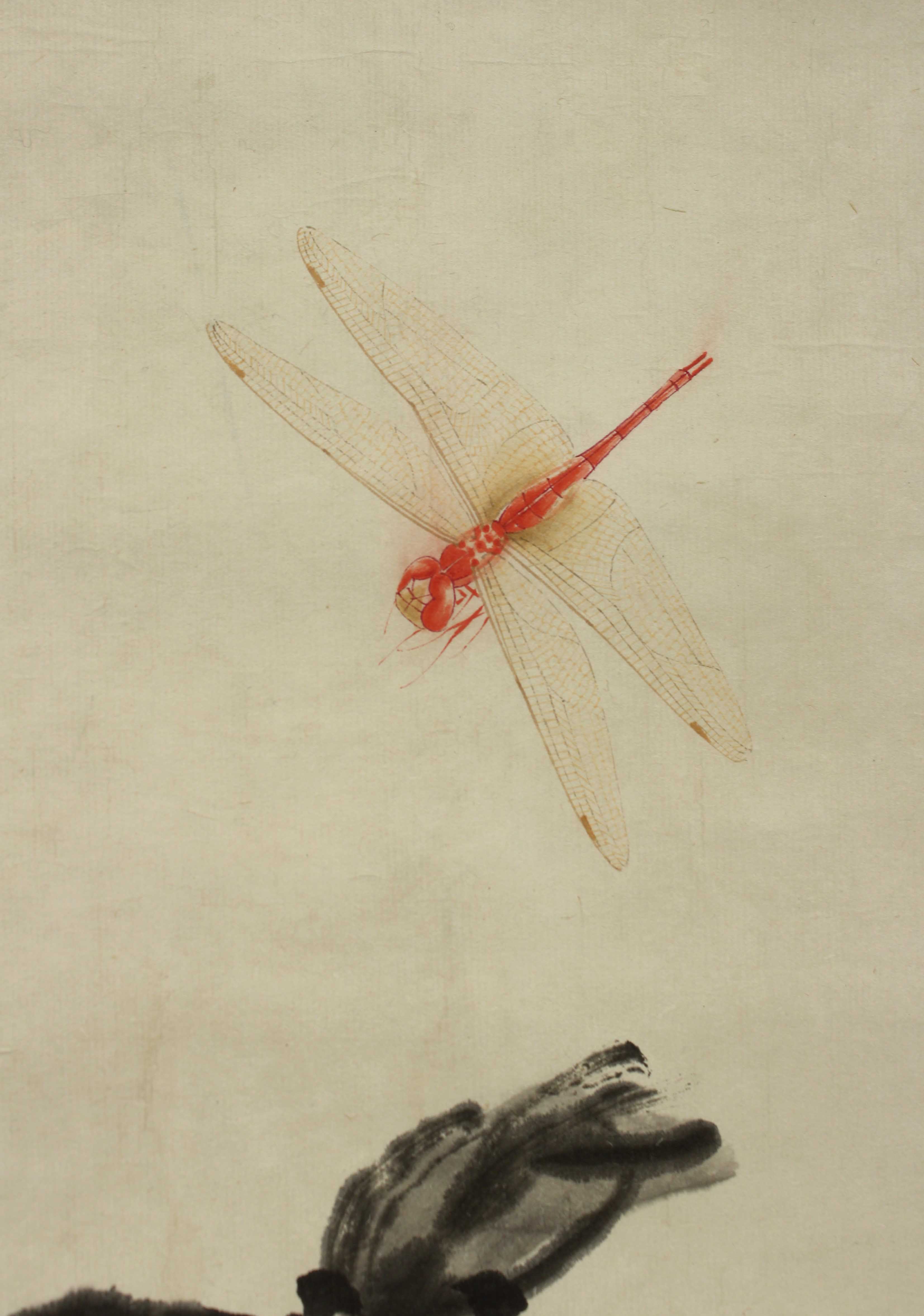 齐白石蜻蜓的画法图片