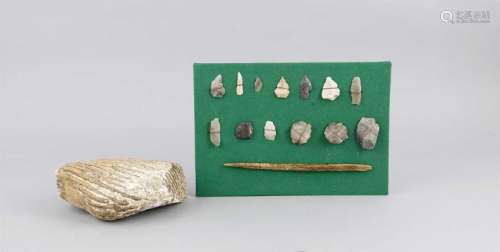 13 mittelsteinzeitliche Artefakte und ein Mammutzahn,