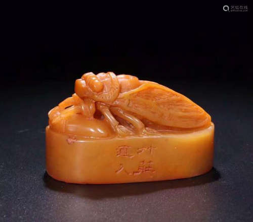 A TIANHUANG SEAL CICADDA PATTERNED