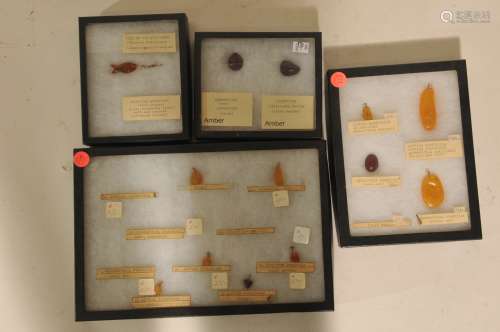 Lot of thirteen amber specimens. All with various insects. Mounted in four collectors boxes.