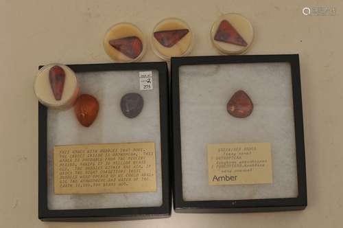 Lot of seven amber specimens. All with various insects. In two collectors boxes and four plastic holders.