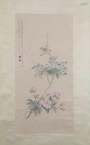 陆小曼  花卉