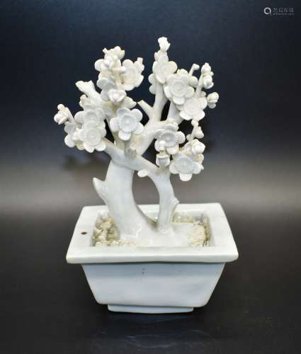 A fine Chinese blanc-de-chine prunus tree- 18th century.