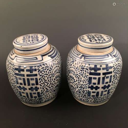 A Pair of Chinese Blue-White Jar and Cover